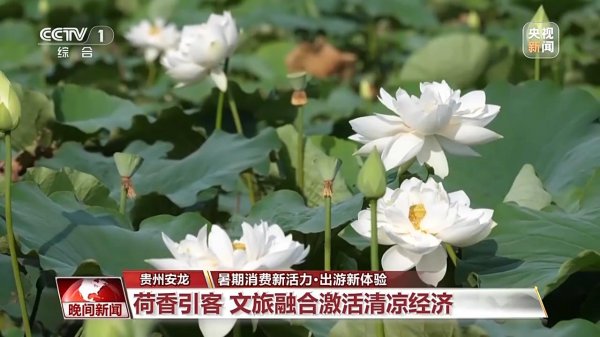 亦丰策略 够清凉够丰富！更好玩、更好逛的“暑期游”来了