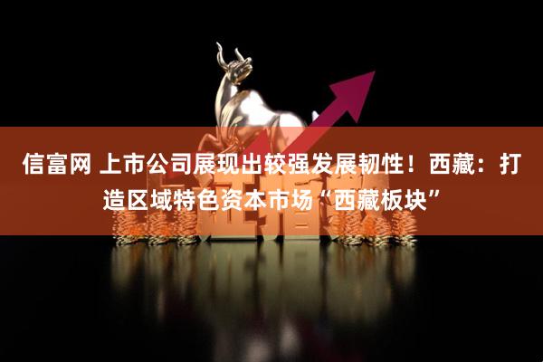 信富网 上市公司展现出较强发展韧性！西藏：打造区域特色资本市场“西藏板块”