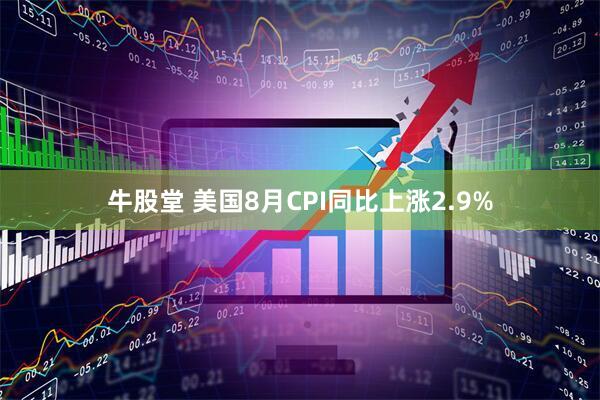 牛股堂 美国8月CPI同比上涨2.9%